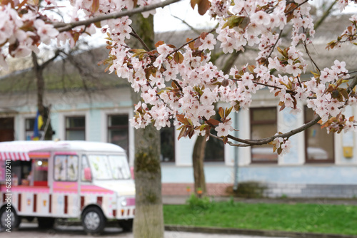 A pink ice cream van behind a blooming tree