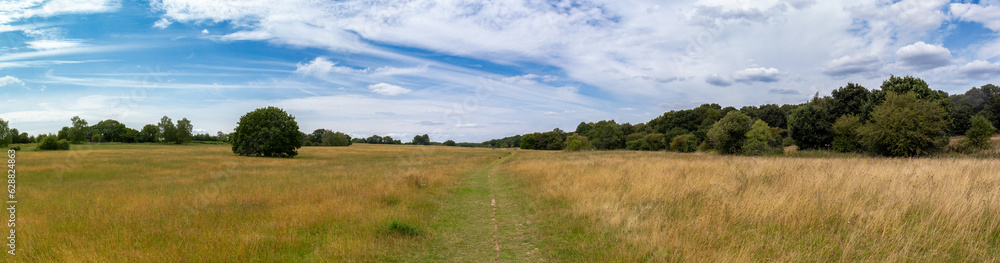 cloud, clouds, common, country, countryside, field, flowers, footpath, forest, grass, grassland, harpenden, harpenden dry valley, heartwood forest, hertfordshire, herts, landscape, meadow, nature, no 