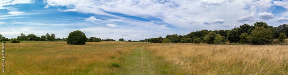 cloud, clouds, common, country, countryside, field, flowers, footpath, forest, grass, grassland, harpenden, harpenden dry valley, heartwood forest, hertfordshire, herts, landscape, meadow, nature, no cloud, clouds, common, country, countryside, field, flowers, footpath, forest, grass, grassland, harpenden, harpenden dry valley, heartwood forest, hertfordshire, herts, landscape, meadow, nature, no
