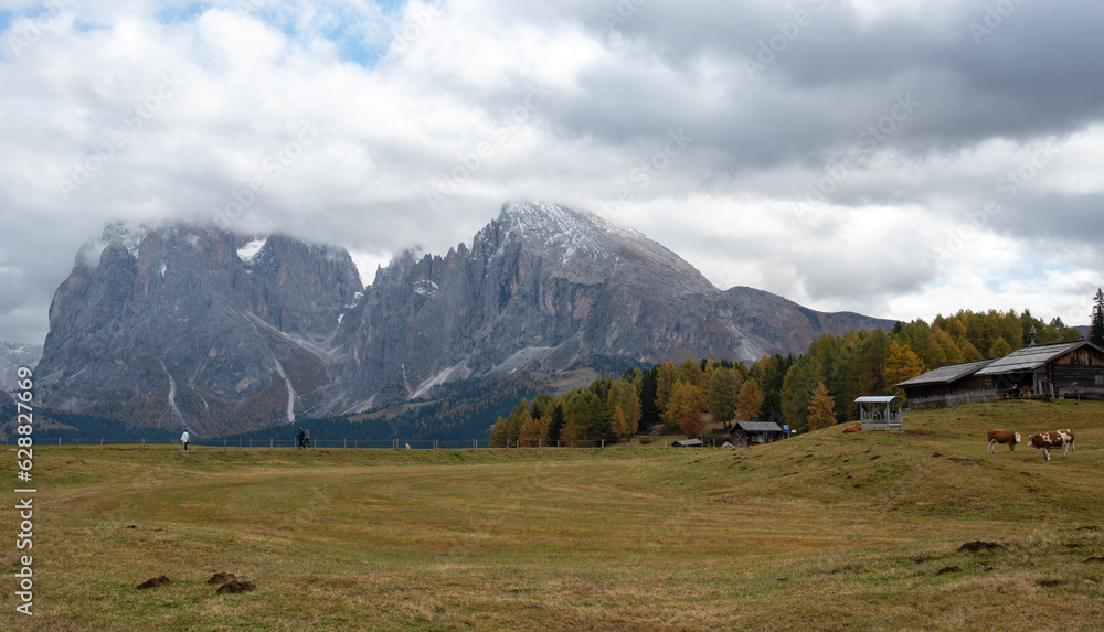 Landscape with beautiful autumn meadow field and the amazing Dolomite rocky peaks.  Valley of  Alpe di siusi Seiser Alm South Tyrol Italy.