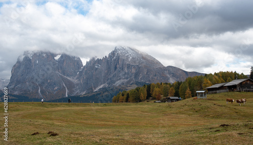 Landscape with beautiful autumn meadow field and the amazing Dolomite rocky peaks. Valley of Alpe di siusi Seiser Alm South Tyrol Italy.