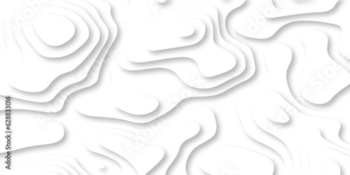 Panorama view gradient multicolor wave curve lines banner background design. Vector illustration. Black and white topography contour lines map isolated on white background.