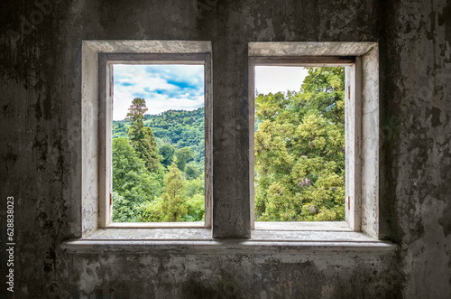 landscape in window of an abandoned house