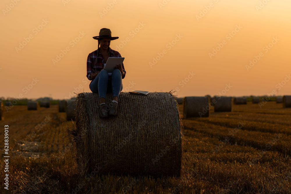 Female farmer inspects lush straw fields, taking a break, she sits on a bale, enjoying peaceful sunset. Female farmer inspects lush straw fields, taking a break, she sits on a bale, enjoying peaceful sunset.