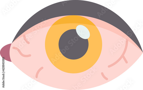 eye  icon