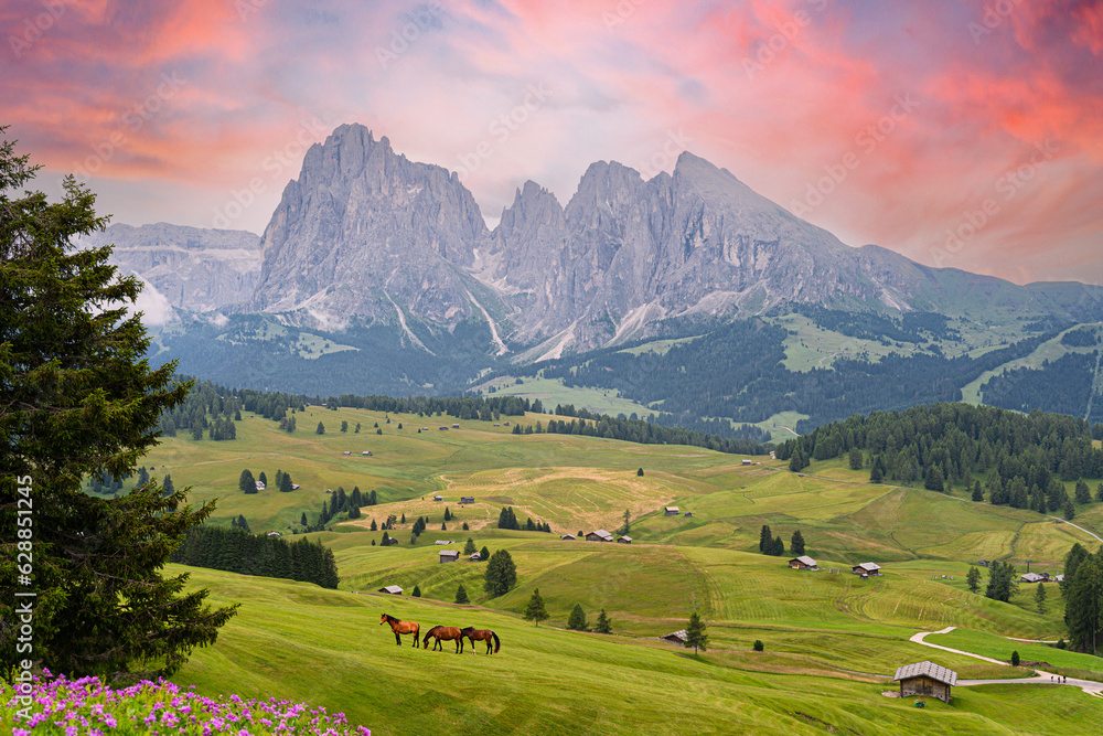 alpine meadow in the mountains, Italy, Dolomites, Alpi di Siusi