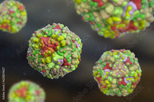 Echo viruses, 3D illustration photo