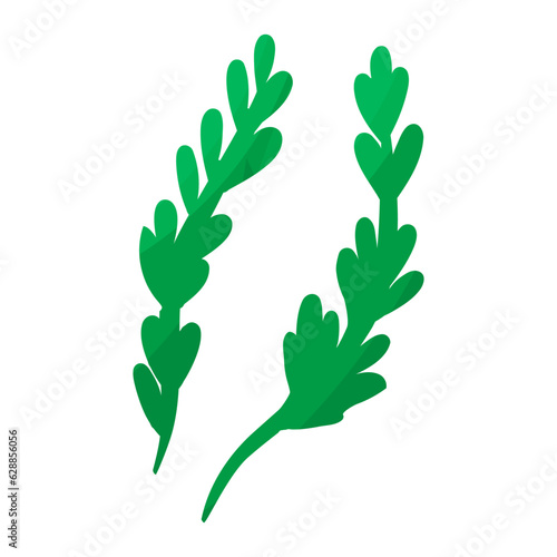 herbs seasoning ingredient herb cook icon elements