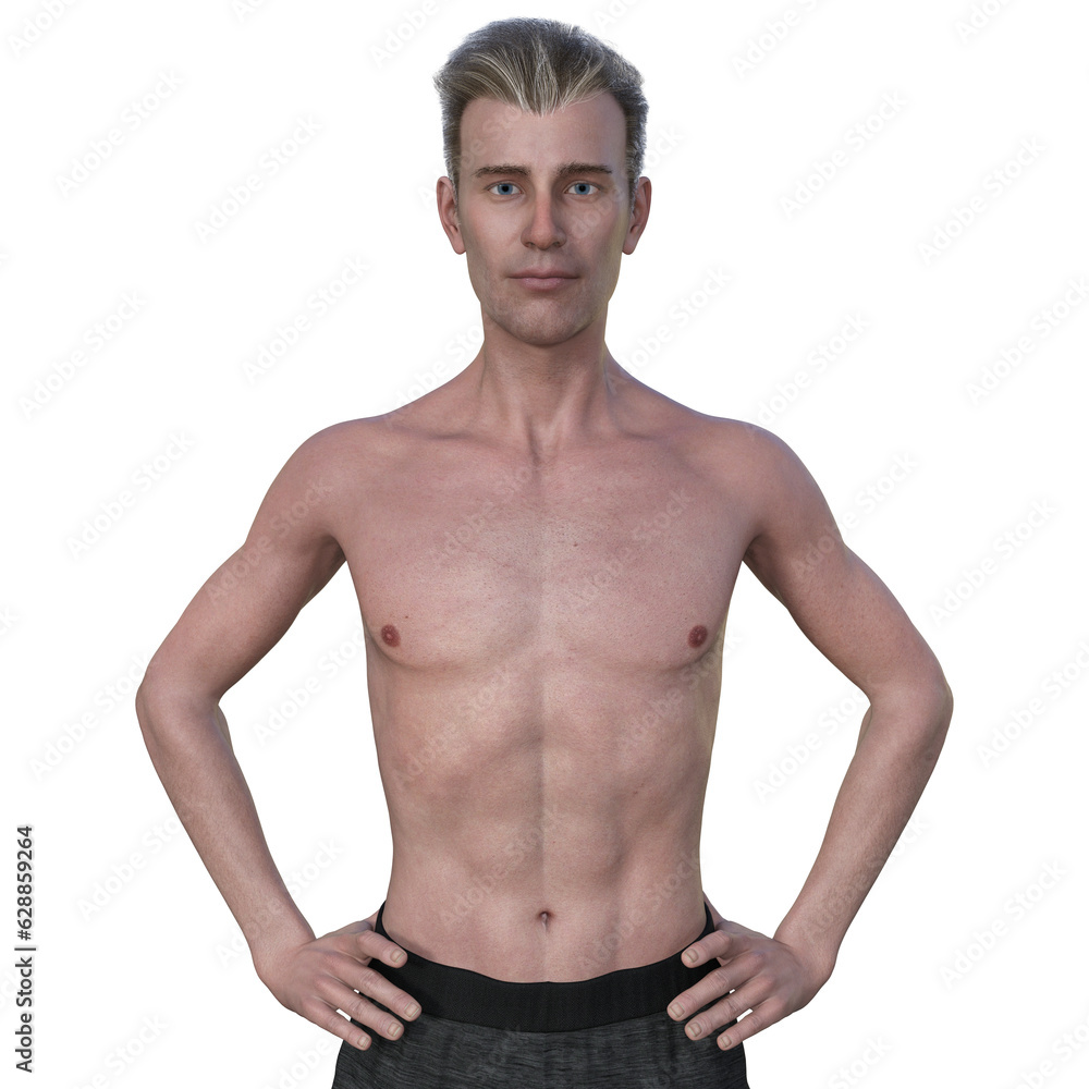 Fototapeta premium Normal weight man, 3D illustration
