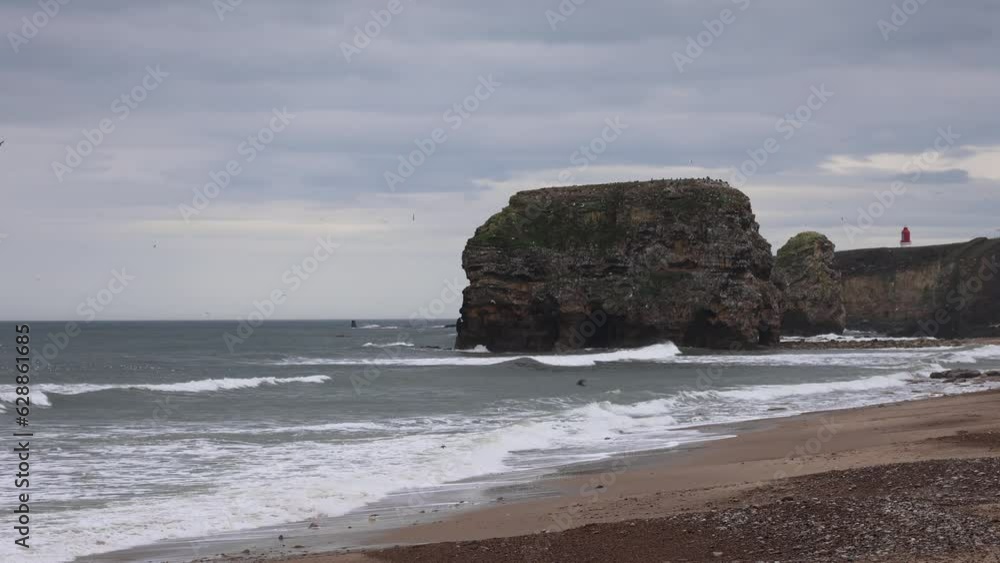 View of a Rocky Seashore With Many Seagulls on a Cloudy Day View of a Rocky Seashore With Many Seagulls on a Cloudy Day