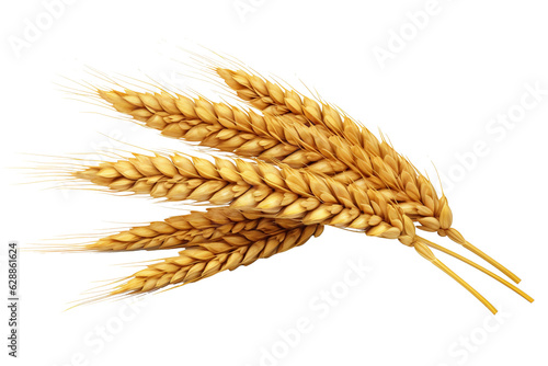 Horizontal wheat ears isolated on a white background with clipping path. Full Depth of field