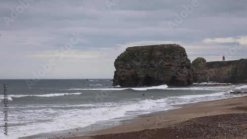 View of a Rocky Seashore With Many Seagulls on a Cloudy Day photo
