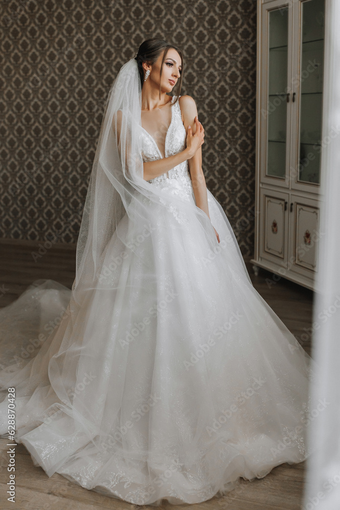 The brunette girl is preparing for the wedding. Portrait photo of a bride in a wedding dress with an elegant hairstyle and luxurious makeup, full-length photo The brunette girl is preparing for the wedding. Portrait photo of a bride in a wedding dress with an elegant hairstyle and luxurious makeup, full-length photo