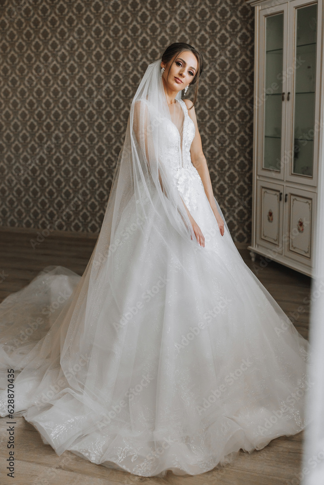 The brunette girl is preparing for the wedding. Portrait photo of a bride in a wedding dress with an elegant hairstyle and luxurious makeup, full-length photo The brunette girl is preparing for the wedding. Portrait photo of a bride in a wedding dress with an elegant hairstyle and luxurious makeup, full-length photo