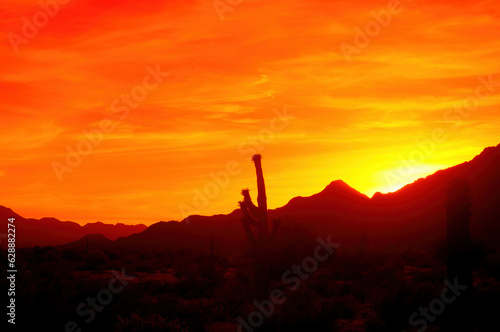 Red Sunset Arizona