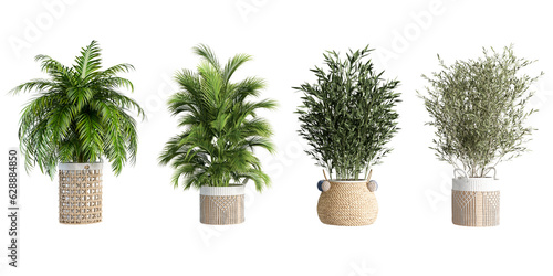 Isometric plant in basket in 3d rendering on white background 