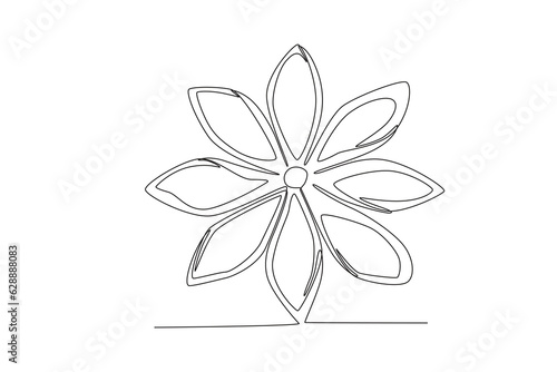 oneline drawing vector Star anise for food and cooking