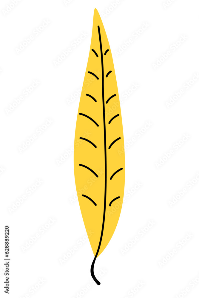Yellow slim leaf isolated on white background. Autumn decoration. Yellow slim leaf isolated on white background. Autumn decoration.