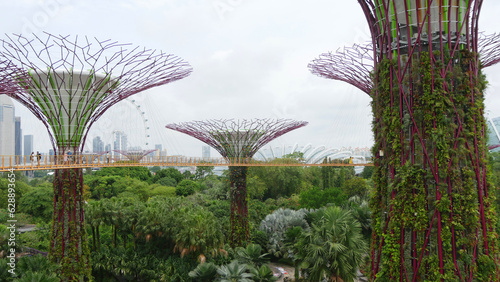 singapore gardens by the bay