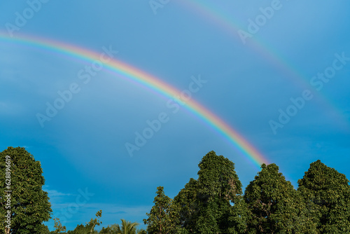 Double rainbow in the sky above trees