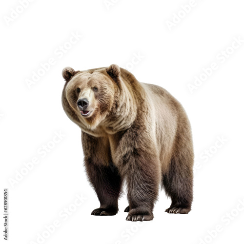 A majestic brown bear standing against a isolated background. Isolated background. Transparent PNG. Generative AI