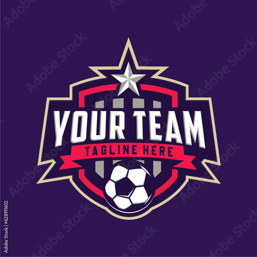 Vintage badge emblem Football soccer sport team club league logo with shield and ball concept icon vector