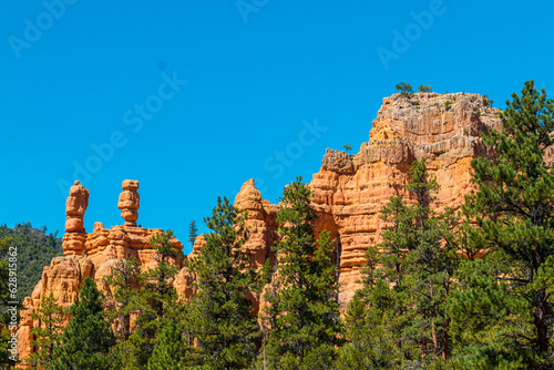 Tablou pe pânză Red Rock Cliffs Above The Pine Forest, Red Canyon, Dixie National Forest, Utah,