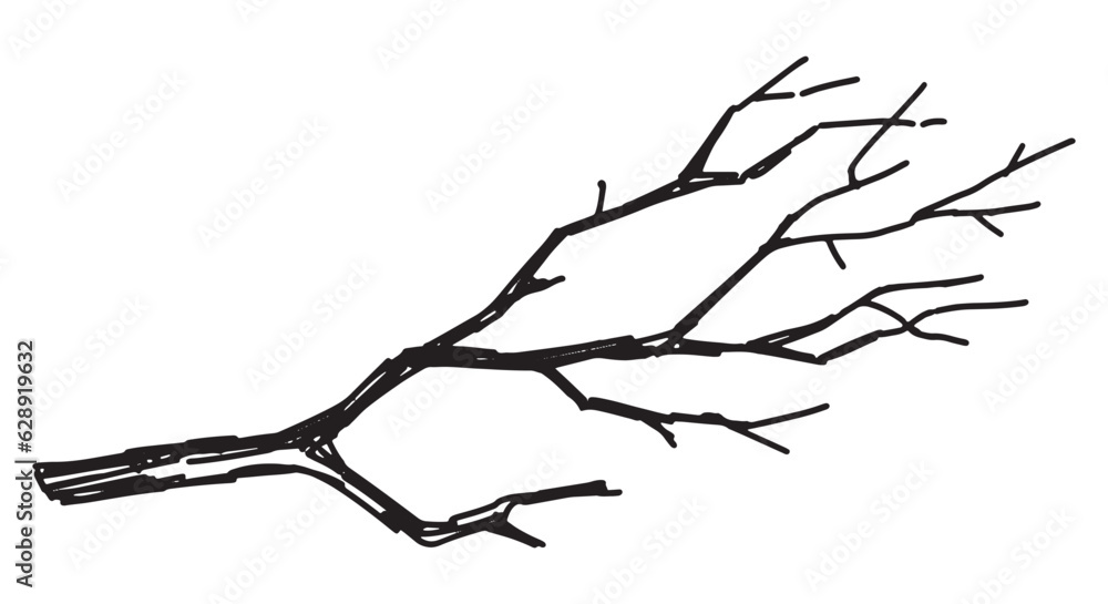Outline clipart of bare branch. Doodle of tree without leaves. Hand drawn vector illustration isolated on white background. Outline clipart of bare branch. Doodle of tree without leaves. Hand drawn vector illustration isolated on white background.