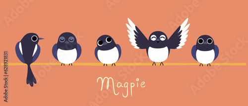 Front view of birds standing on wires. Cartoon magpie bird vector illustration.
