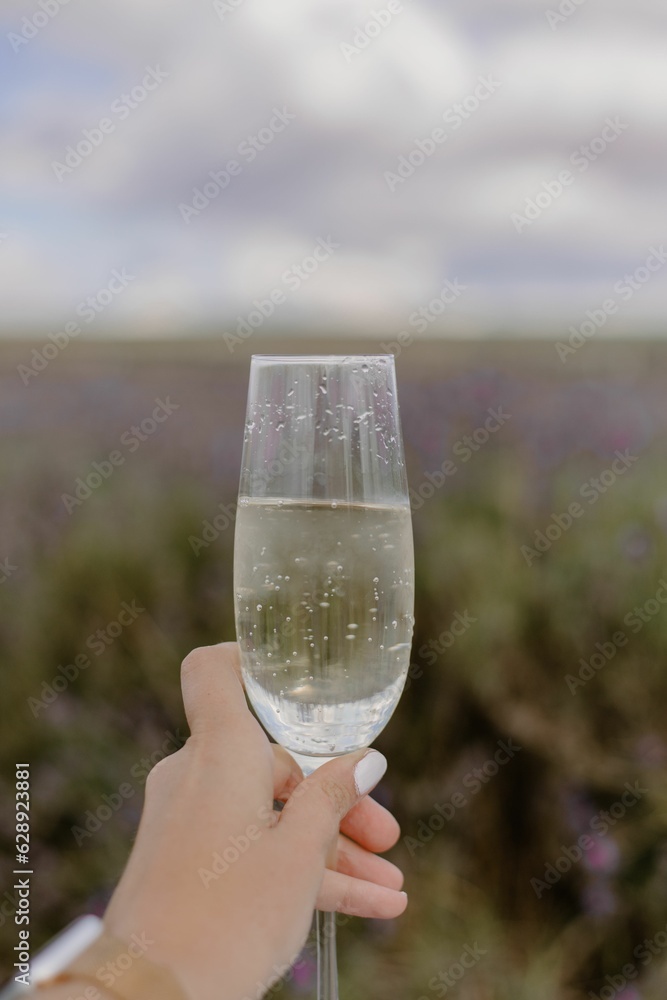 Vertical of a female hand holding a glass of Prosecco in a lavender field