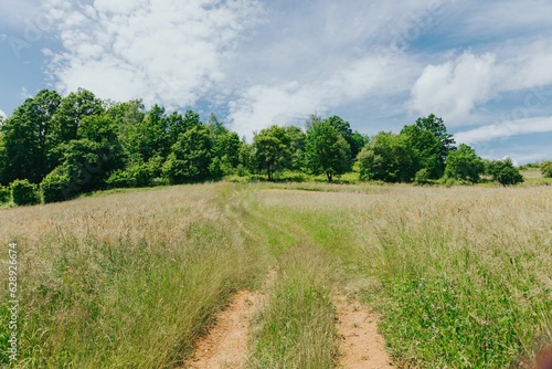 Dirt path traverses a sun-drenched meadow of grass  providing an inviting route through nature