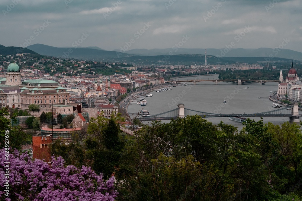 Aerial view of spring in Budapest with a blooming purple flower bush over a cityscape view