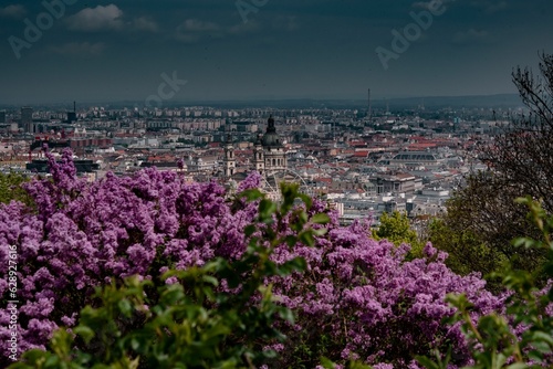 Aerial view of spring in Budapest with a blooming purple flower bush over a cityscape view © Landscapeaway/Wirestock Creators