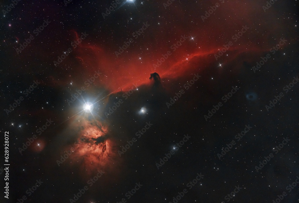 Stunning view of the Horsehead Nebula in a night sky
