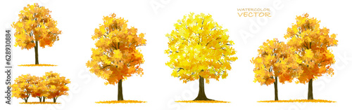 Vector watercolor tree or forest side view isolated on white background for landscape and architecture drawing,elements for environment or garden,botanical element for exterior section in autumn
