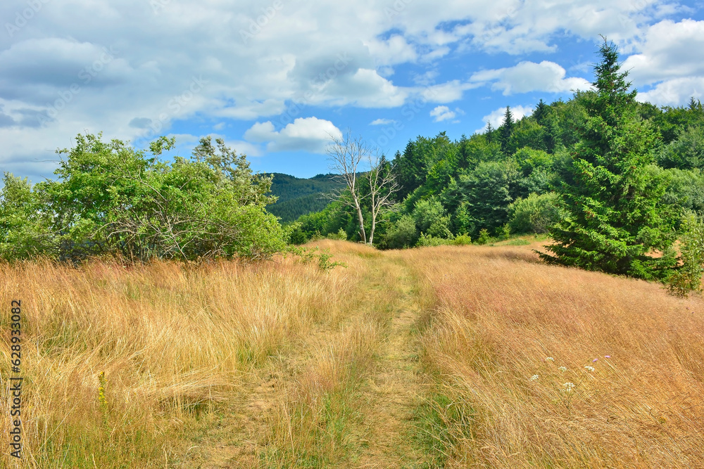  Trail way around with with tall yellow grass and the hill with blue sky background.
