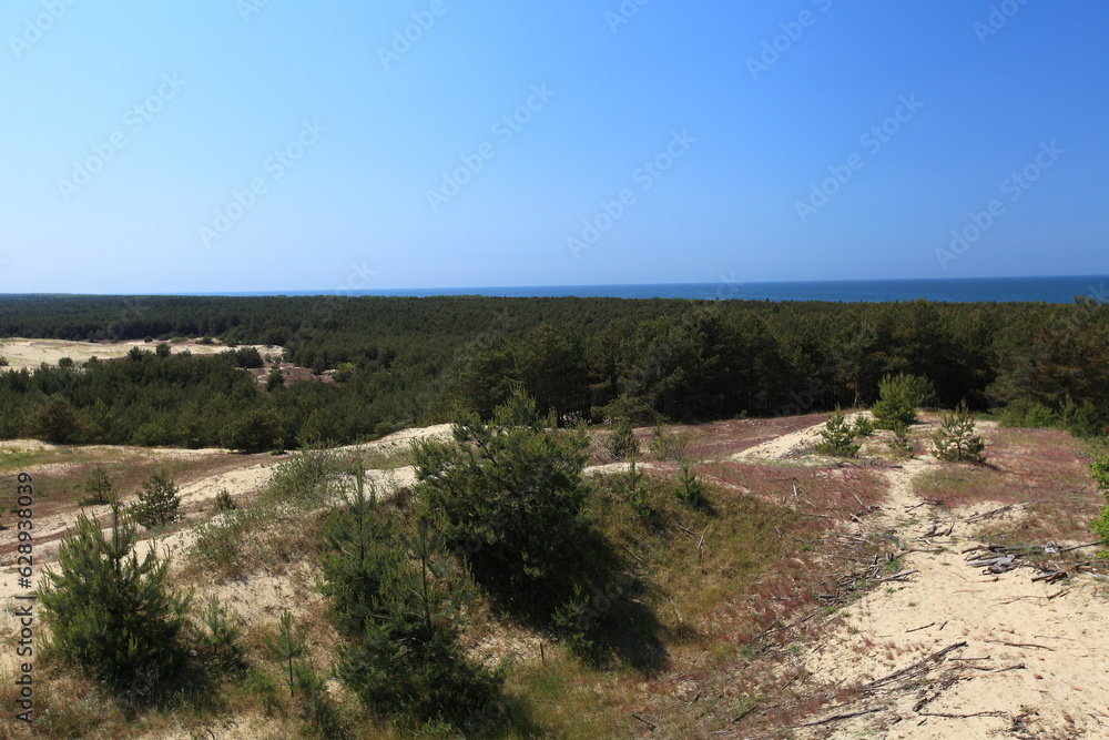 Sand Dune in Curonian Spit, Russia