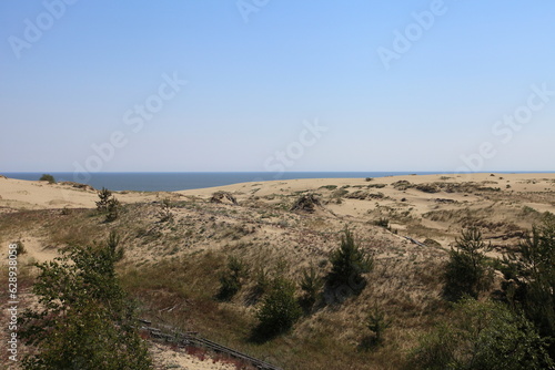 Sand Dune in Curonian Spit  Russia