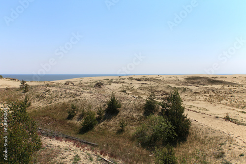Fototapeta Naklejka Na Ścianę i Meble -  Sand Dune in Curonian Spit, Russia