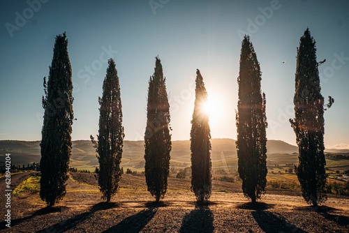 Stunning image captures the beauty of Val d'orcia in Tuscany, Italy during the golden hour
