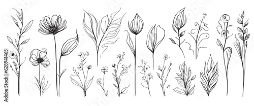 minimal botanical summer graphic sketch line art drawing, trendy tiny design, leaf elements vector illustration