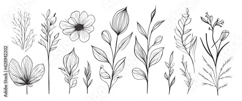 minimal botanical summer graphic sketch line art drawing  trendy tiny design  leaf elements vector illustration
