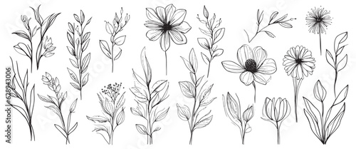 Fototapeta Naklejka Na Ścianę i Meble -  minimal botanical summer graphic sketch line art drawing, trendy tiny design, leaf elements vector illustration