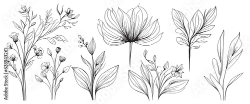 Fototapeta Naklejka Na Ścianę i Meble -  minimal botanical summer graphic sketch line art drawing, trendy tiny design, leaf elements vector illustration