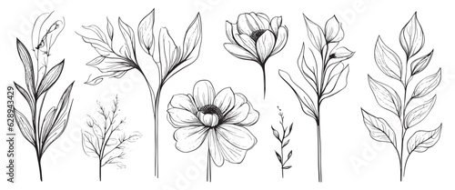 minimal botanical summer graphic sketch line art drawing, trendy tiny design, leaf elements vector illustration