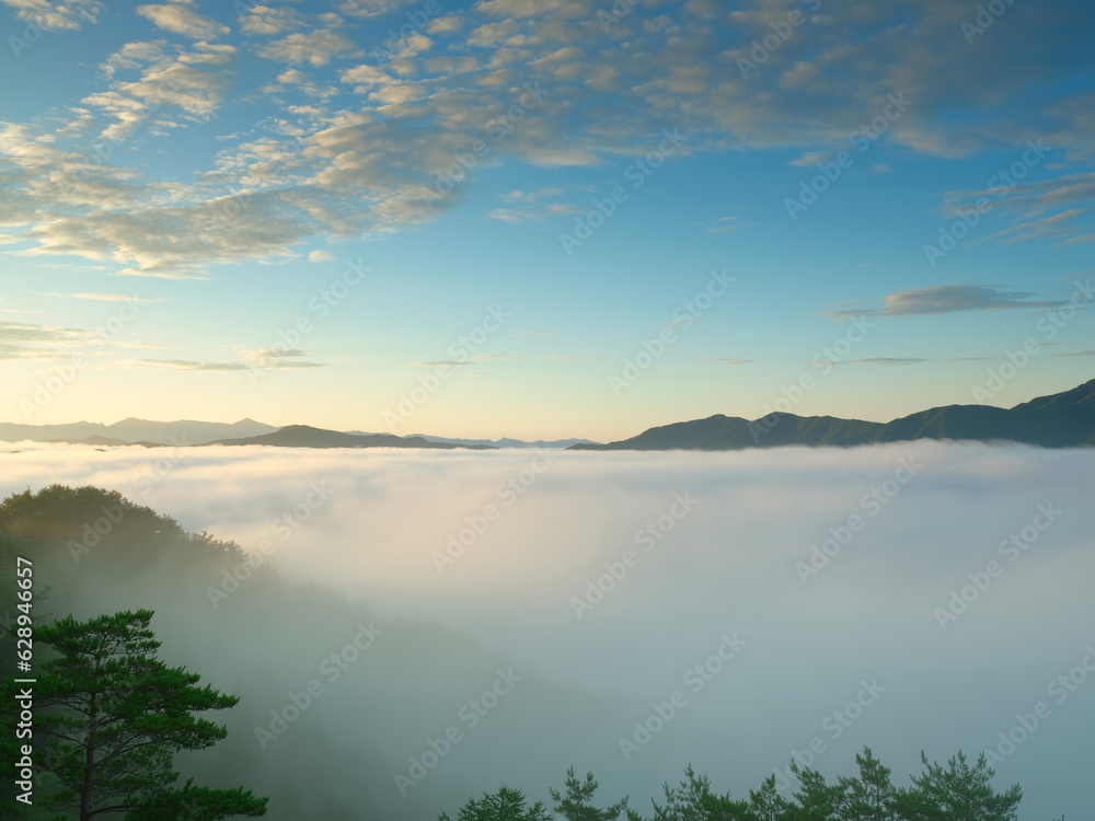 雲海が出ている山の風景