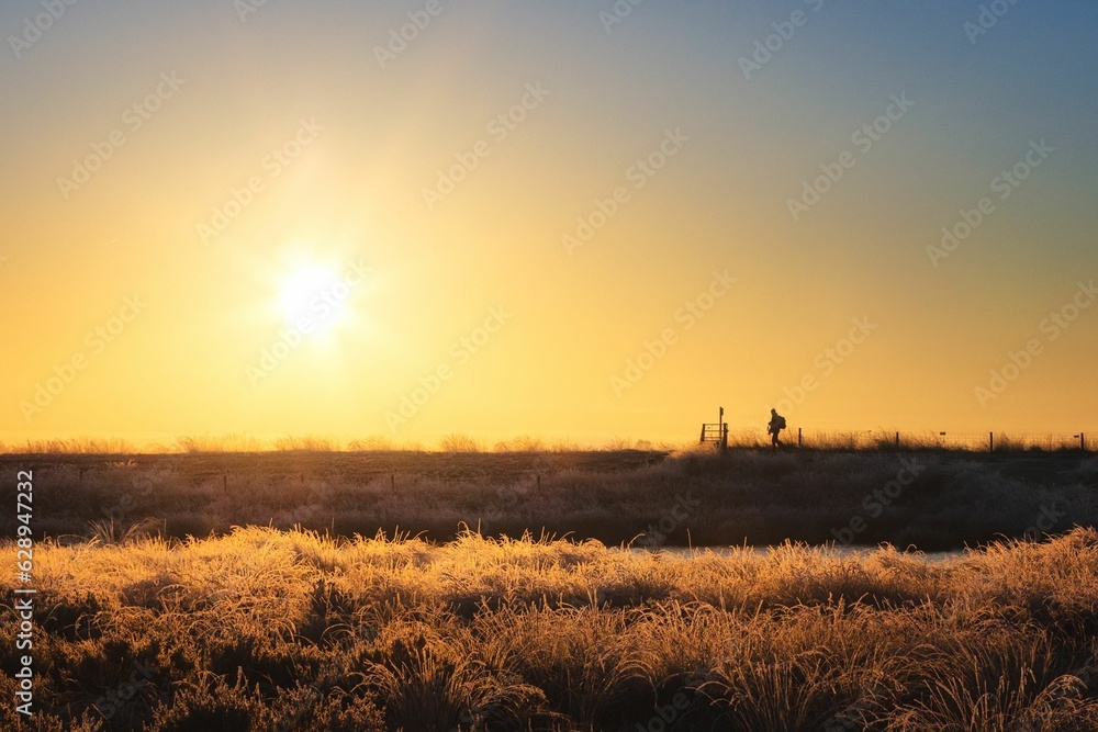 Silhouette of a man walking on the grassy field at sunset
