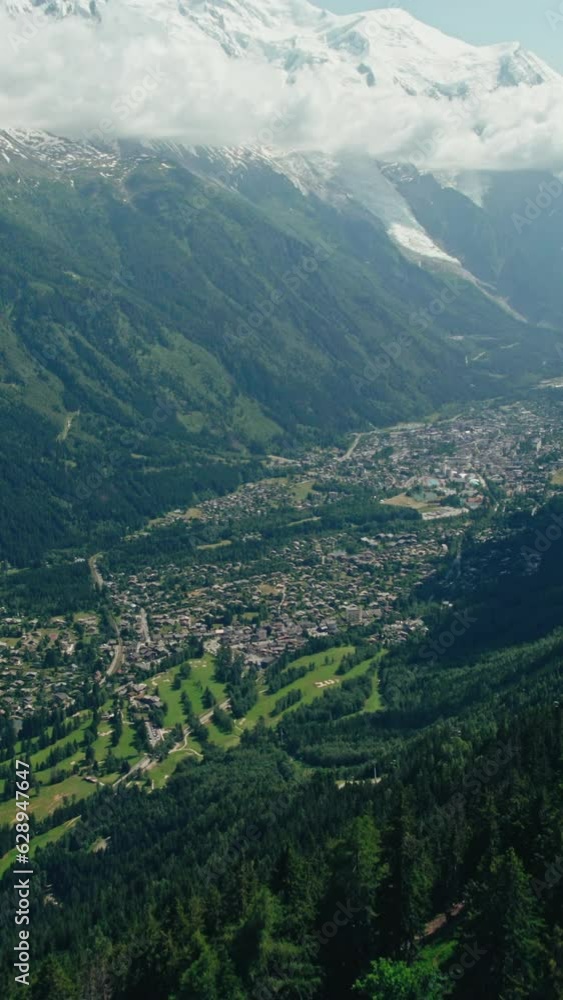 Landscape scene of vegetation green of Valley Chamonix Alps with a snowy top, vertical shot Landscape scene of vegetation green of Valley Chamonix Alps with a snowy top, vertical shot