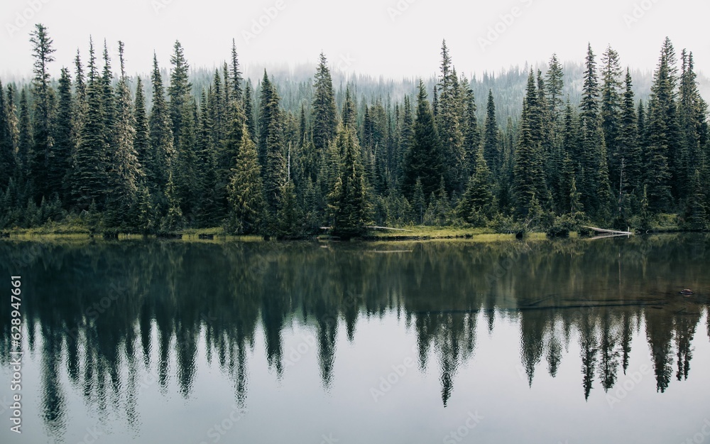 Idyllic landscape of pine trees reflected in a beautiful lake