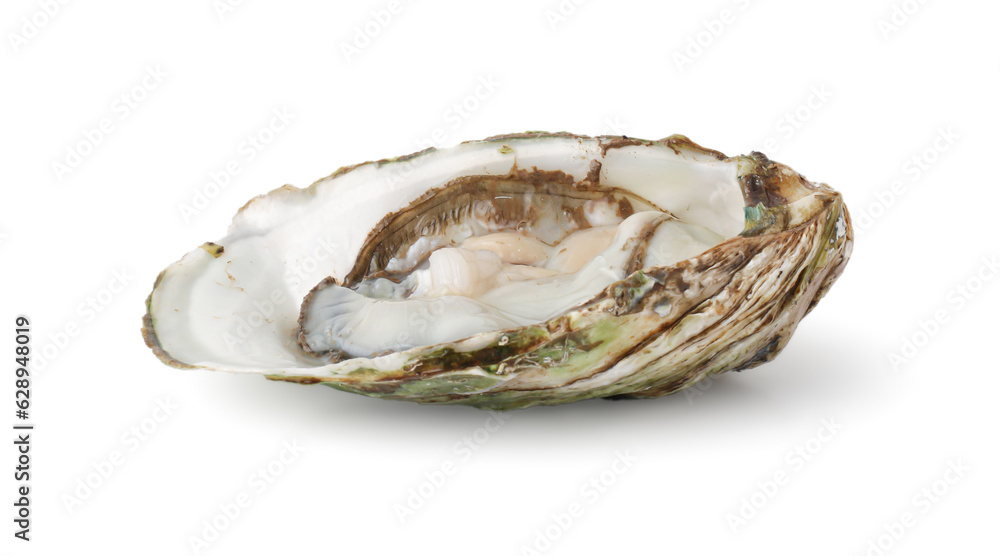 Fresh Opened Oyster on White Background with clipping path. , Delicacy of the Ocean Seafood Industry. Fresh Opened Oyster on White Background with clipping path. , Delicacy of the Ocean Seafood Industry.